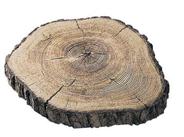 Show details for Stepping Stones for Garden Picture of Stepping Stones for Garden