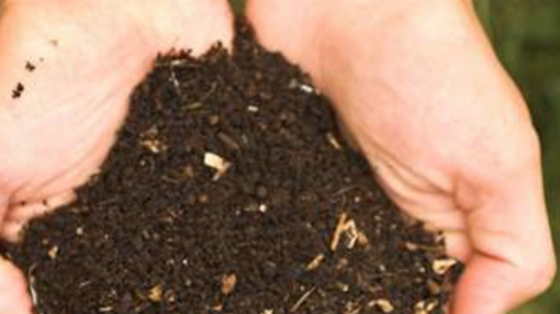 Picture of COMPOST 1/4" (Premium Compost)