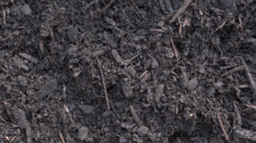 Picture of LIVE MULCH