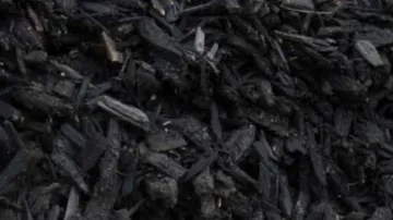Picture of ColouredBlackWoodchipMulch