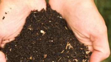 Picture of TOTE - PREMIUM 1/4" COMPOST