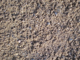 Show details for TOTE - CONCRETE SAND Picture of TOTE - CONCRETE SAND