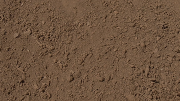 Show details for 25L BAG SCREENED TOP SOIL Picture of 25L BAG SCREENED TOP SOIL