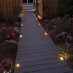 Picture of ST/GEM Paver & Deck Light 22mm - 0.2W Epistar LED 316 Stainless w/ frosted lens light