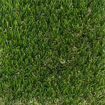 Picture of DAG - FESCUE ELITE