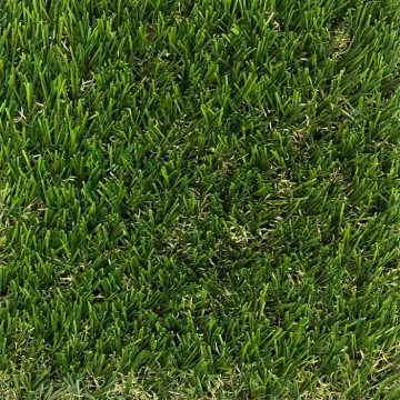 Picture of DAG - FESCUE ELITE