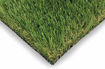 Picture of DAG - FESCUE ELITE