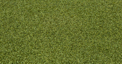 Picture of RYMAR PRO PUTT     **** FINAL SALE ON CUT ROLLS *****