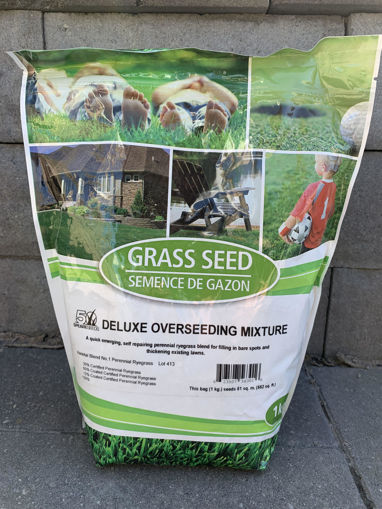 Picture of DELUXE OVERSEEDING MIXTURE