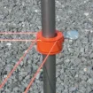 Picture of STRING ALONG COLLARS