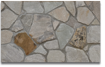 Picture of Fieldstone (Pangaea)