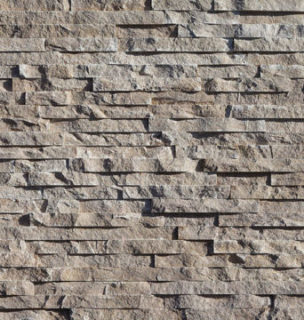 Cottonwood Picture of European Ledge