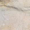 Picture of Grand Ledge Wall
